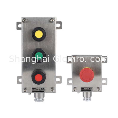 IP65 Waterproof 304 Stainless Steel Flameproof Push Button Box Ex de IIC T6 Gb Anti-Corrosion Enclosure Flammable Explosive Area