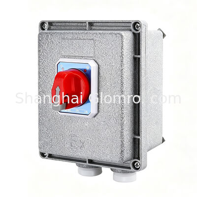 Square Double Pole Explosion-Proof Circuit Breaker IP65 Ex Db Eb Iib T6 6ka Surface Mount AC220/380V Industrial Use

