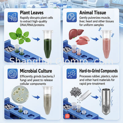 High Throughput Tissue Grinding Machine Vertical Vibration Bead Mill Homogenizer for Laboratory Biological Sample Cell Lysis