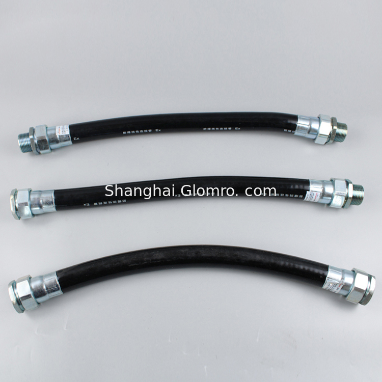 DN15 to DN100 Explosion Proof Flexible Connection Hose with Pipe Thread G1/2 to G4