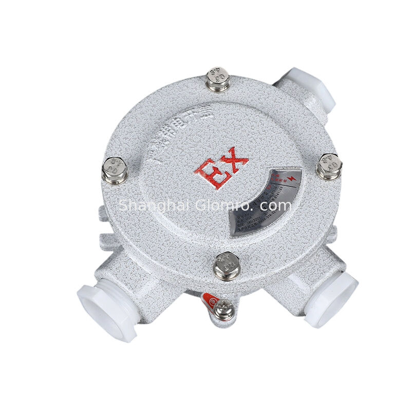 AH-IIB Type C Triple Flat Panel Electrical Box, Explosion-proof, IP65, G1/2-G2 Thread for Stable Cable Connection