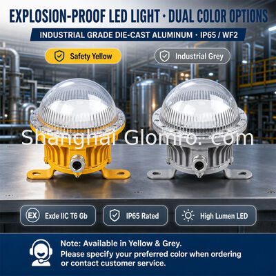 نورپردازی ضد انفجار LED 10W IP65 WF2 طول عمر طولانی نورپردازی منطقه خطرناک صنعتی برای پالایشگاه