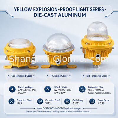 GLOMRO روشنایی منطقه LED ضد انفجار سنگین 30W SMD 3000Lm AC85V-265V برای کارخانه های پتروشیمی