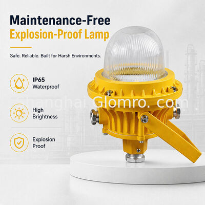 GLOMRO 30W لامپ ضد انفجار بدون تعمیر و نگهداری پوشش شیشه گرم برای انبارها ایستگاه های بنزین نصب آویزان