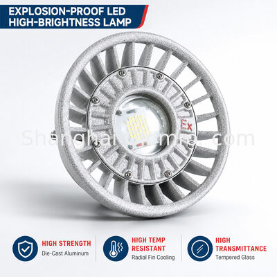 نور ضد انفجار LED 20W / 30W / 40W / 50W / 60W / 70W / 80W / 100W / 120W IP66 نورپردازی محل خطرناک آلومینیوم ریخته شده چند گزینه قدرت